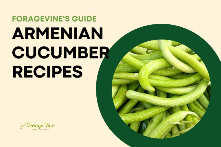 5 Best Armenian Cucumber Recipes