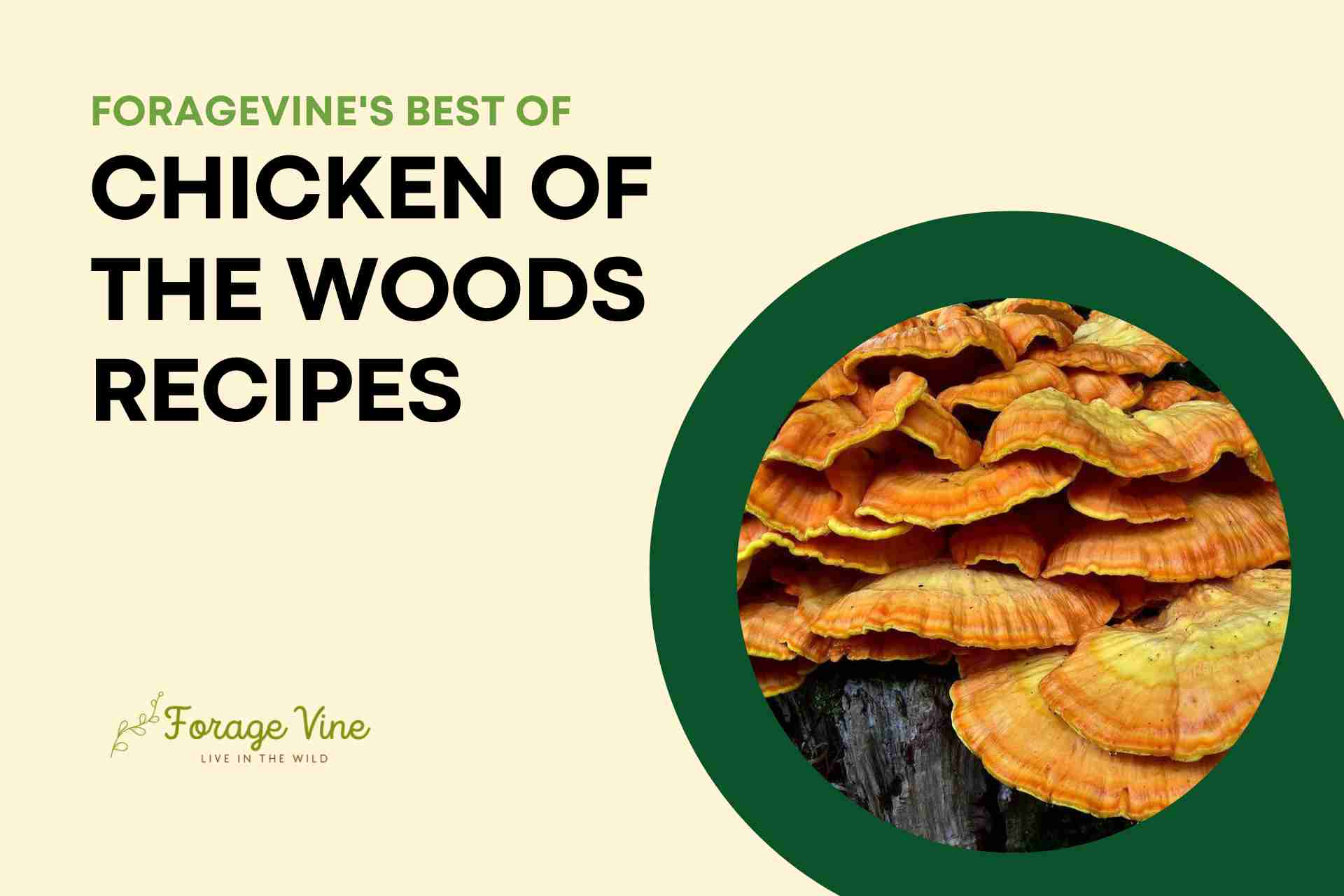 21 Best Chicken of the Woods Recipes Ever Satisfy Your Cravings